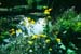 forty_hall_02