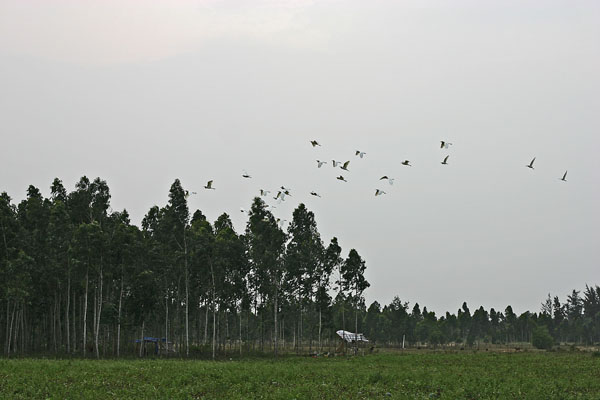 &copy John Lancaster