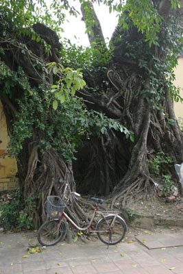 &copy John Lancaster