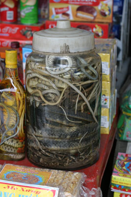 &copy John Lancaster