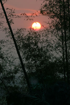 &copy; John Lancaster