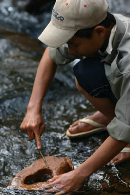 &copy John Lancaster